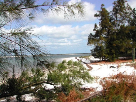 Anclote Key Florida beach view