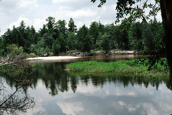 beautiful blackwater river state park in Florida