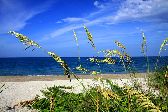 Jupiter beach, Florida coastline