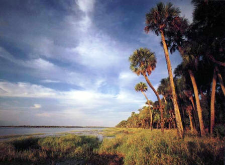 Myakka River State Park in Florida
