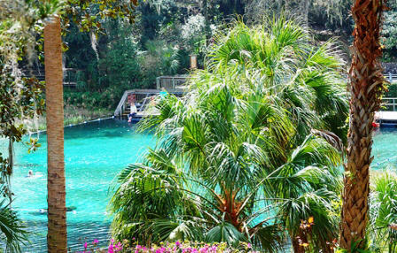 swiiming at rainbow river state park