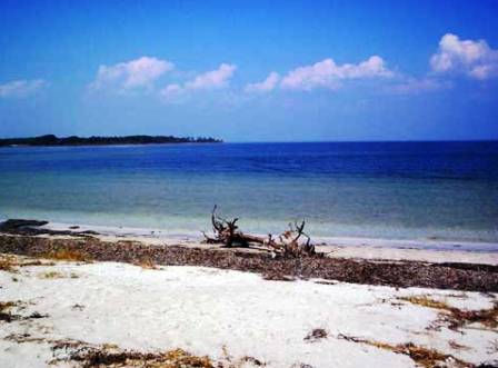 St. Joseph penisula state park in Florida