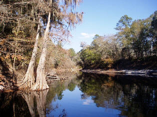 Suwannee River in Florida