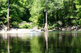 withlacoochee river in Citrus County Florida