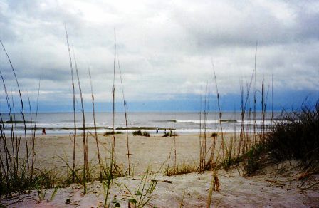 Amelia Island Florida beach view
