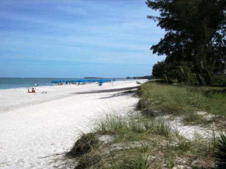 Captiva Island beach area