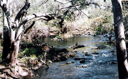 Hillsborough River State Park