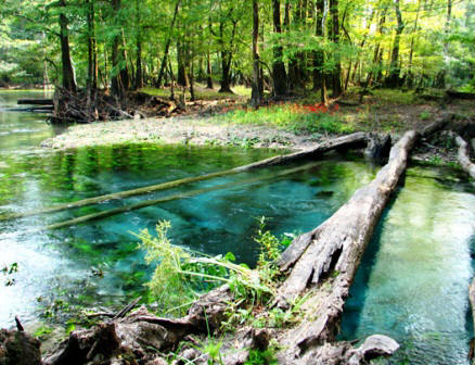 Collier-Seminole State Park in Florida