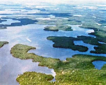 Florida Everglades- a living river