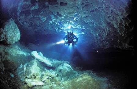 snorkeling in Fanning Springs Florida