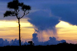 Florida raincloud