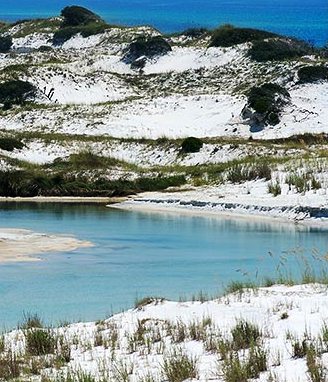 Grayton Beach Florida sand dunes