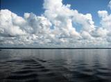 Lake Monroe a fluvial development lake in Florida