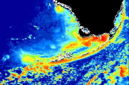 Infrared view of Florida Coral Reef Ecosystem