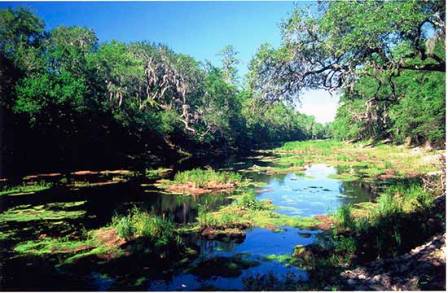 little shoals rapids in Florida