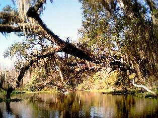 St Johns River in Florida