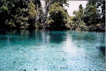 three sisters springs in Crystal River Florida