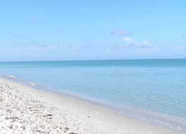 white sandy beaches of Captiva Florida