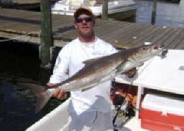 Cobia love the warm temperate waters off the coast of Florida