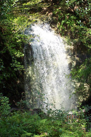 Falling waters waterfall found near Chipley Florida