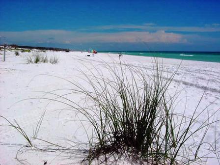 white sandy beaches found in Henderson Beach State Park in Florida