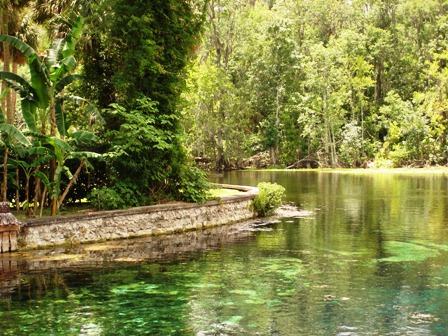 Silver River in beautiful Silver Springs Florida