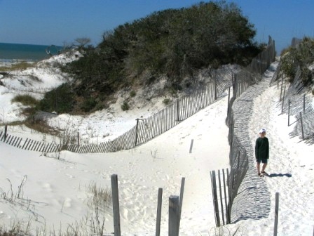 sand dunes at St Josephs penisula state park in Florida