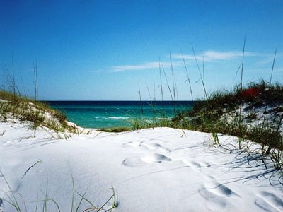 Grayton Beach Florida ocean view
