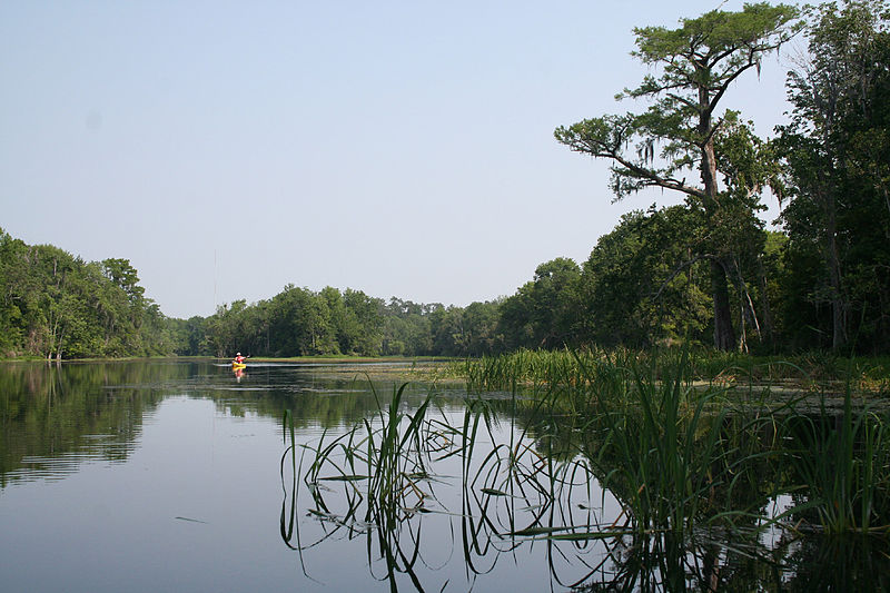 wakulla county is a beautiful nature spot in north Florida