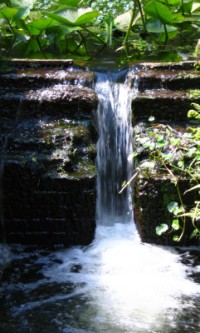waterfall in ravine gradens state park in Palatka Florida